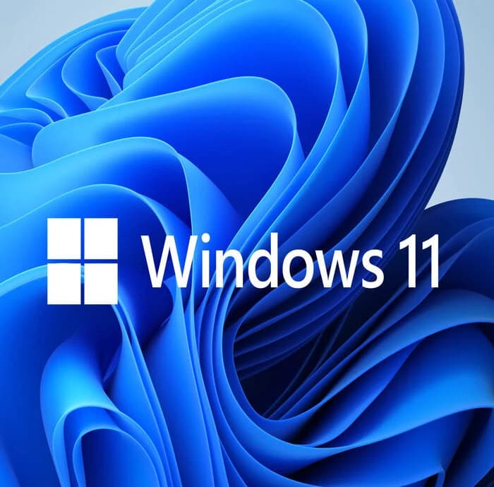 Microsoft Windows 11 Pro OEM (1 PC / Lifetime) Official Box Art & Activation License Key