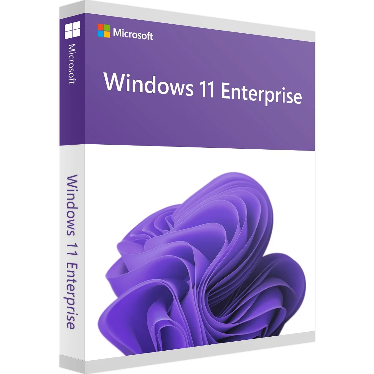Microsoft SQL Server 2022 Standard (1 Server / Lifetime) Official Box Art & Activation License Key